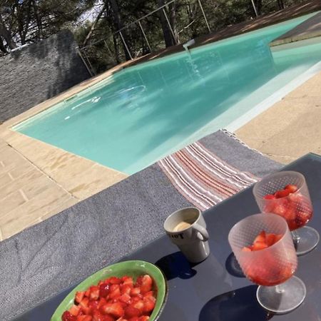 Villa Piscine 6Km De Cassis 12 Couchages ロックフォール・ラ・ベドゥール エクステリア 写真